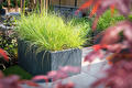 Tuin en terras in moderne stijl (7)