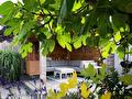 Zomerse tuin met loungeplek en terras